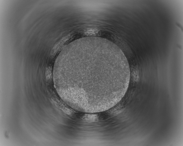 X0000103960665200810311615