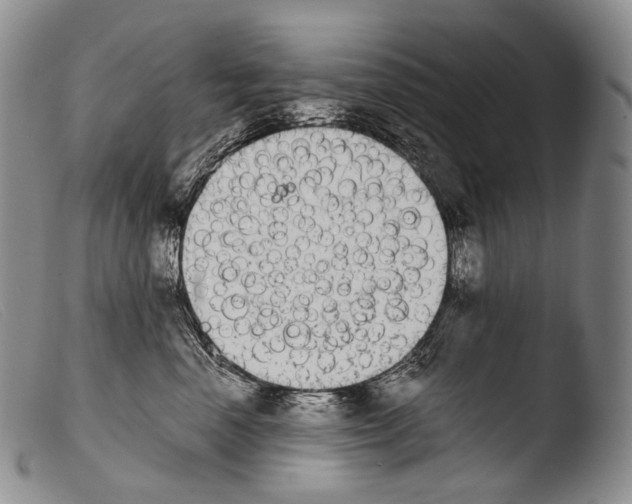 X0000103960666200810311615