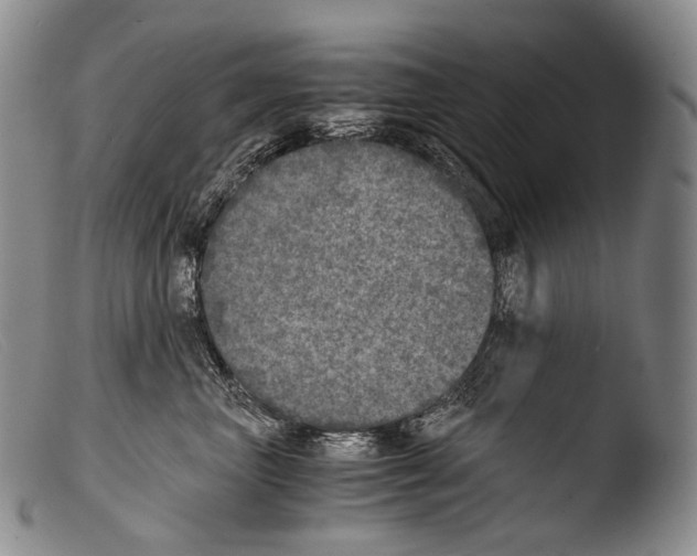 X0000103960667200810311615