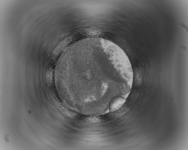 X0000103960668200810311615