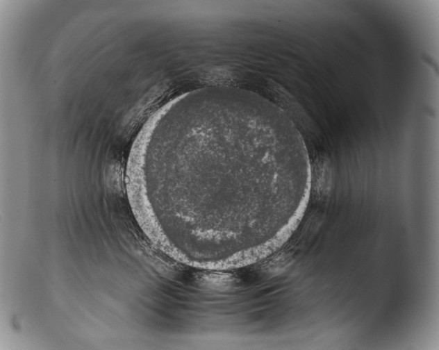 X0000103960669200810311615