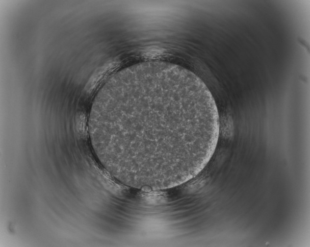 X0000103960670200810311615