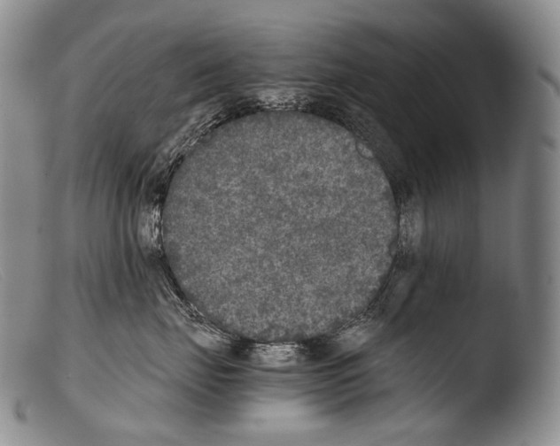 X0000103960671200810311615