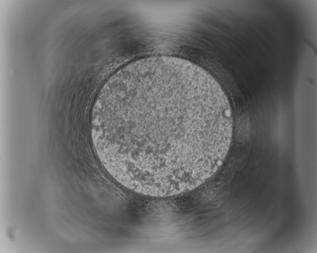 X0000103960673200810311615
