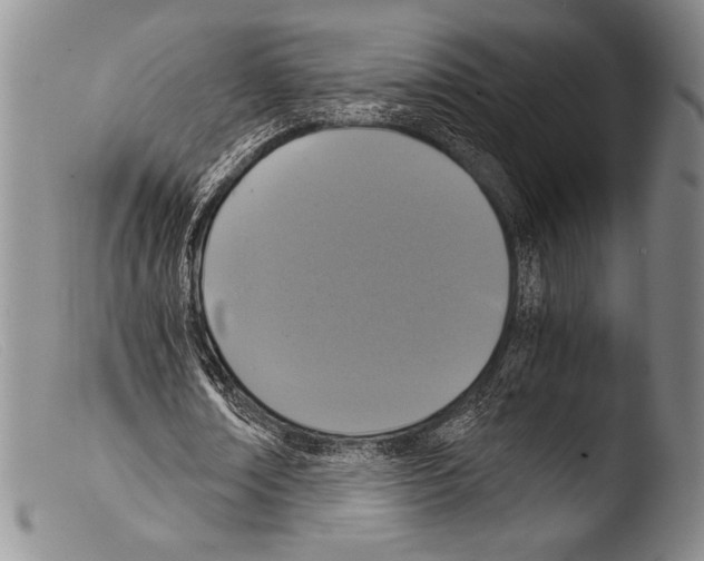 X0000103960674200810311615