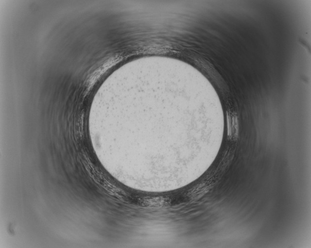 X0000103960675200810311615