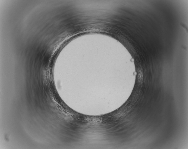 X0000103960676200810311615