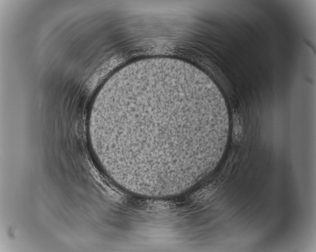 X0000103960677200810311615