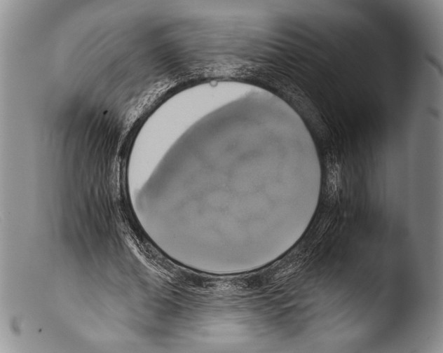 X0000103960678200810311615