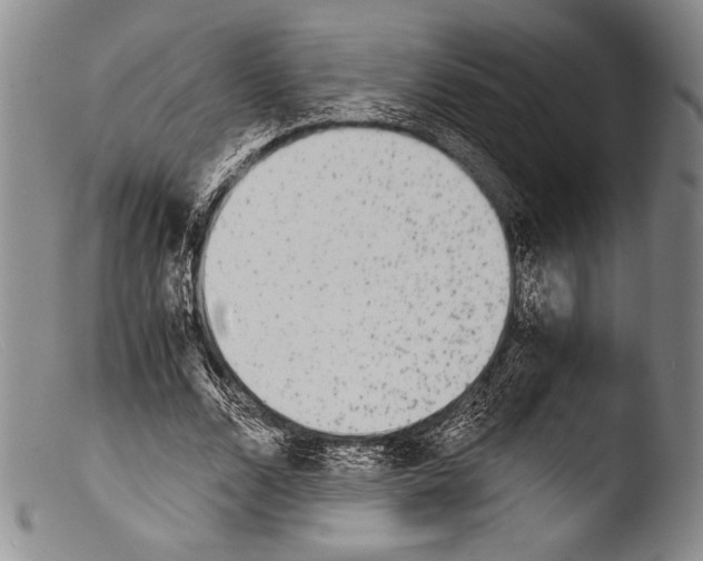X0000103960680200810311615