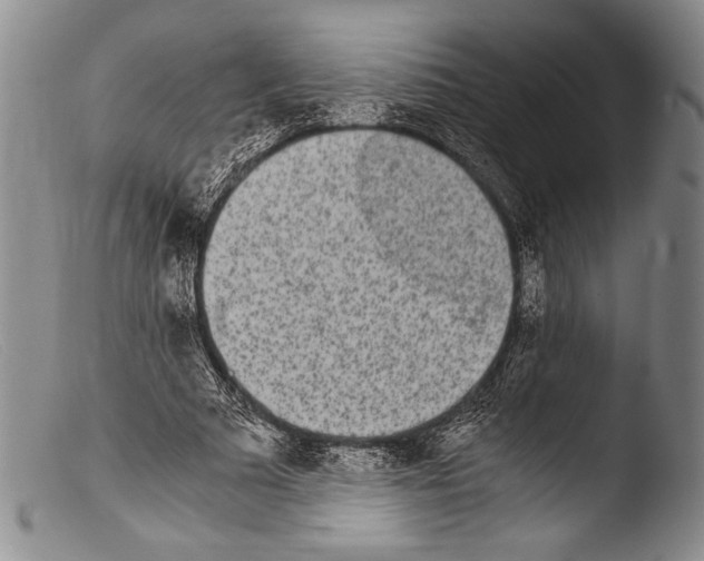 X0000103960681200810311615