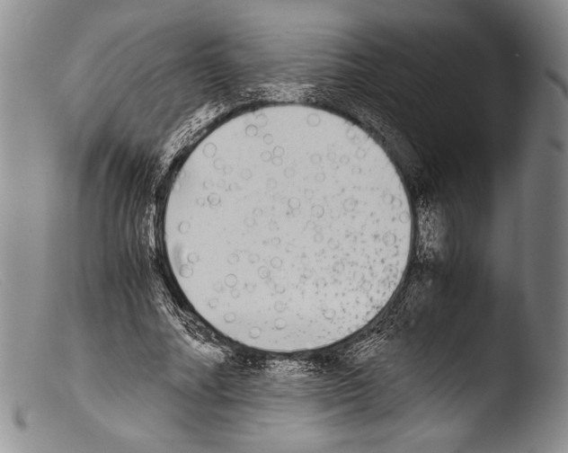 X0000103960682200810311615