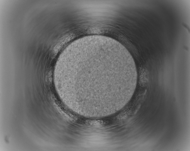 X0000103960683200810311614