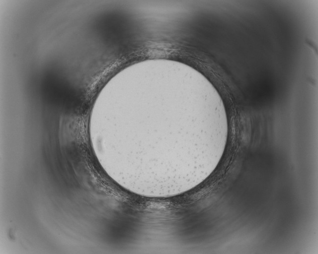 X0000103960684200810311614