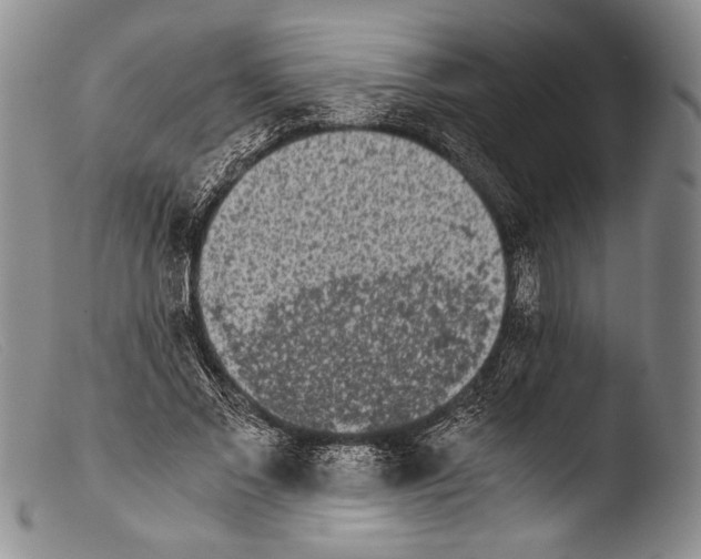 X0000103960685200810311614