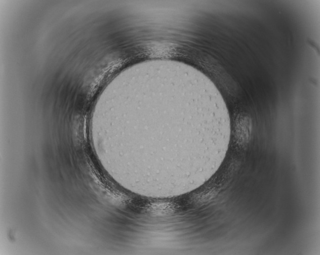 X0000103960686200810311614