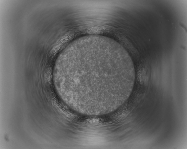 X0000103960687200810311614