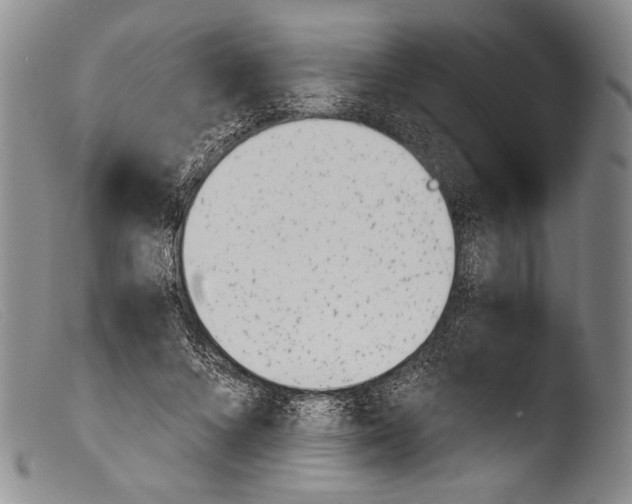 X0000103960688200810311614