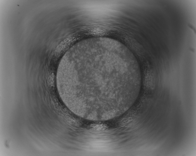 X0000103960689200810311614