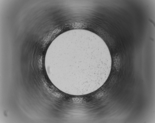 X0000103960690200810311614