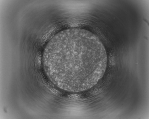 X0000103960691200810311614
