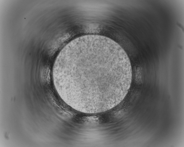 X0000103960692200810311614