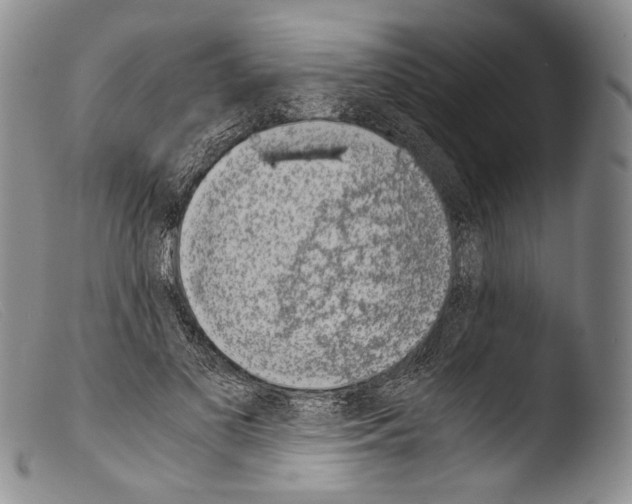 X0000103960693200810311614