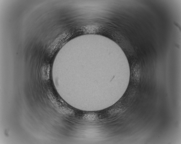 X0000103960694200810311614