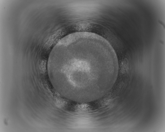 X0000103960695200810311614