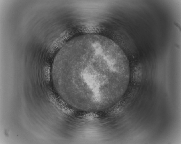 X0000103960696200810311614