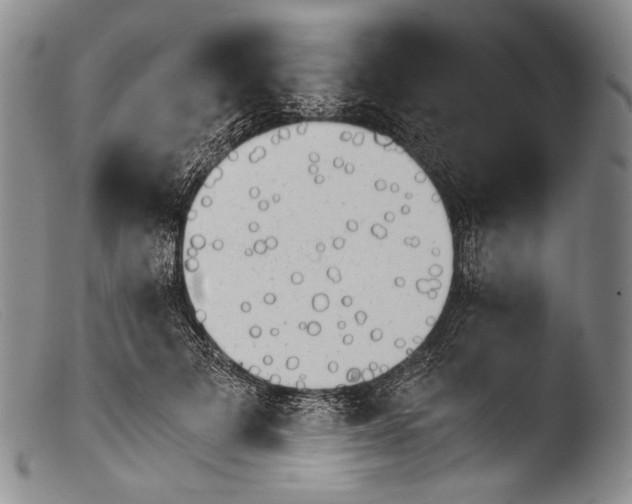 X0000103960697200810311614