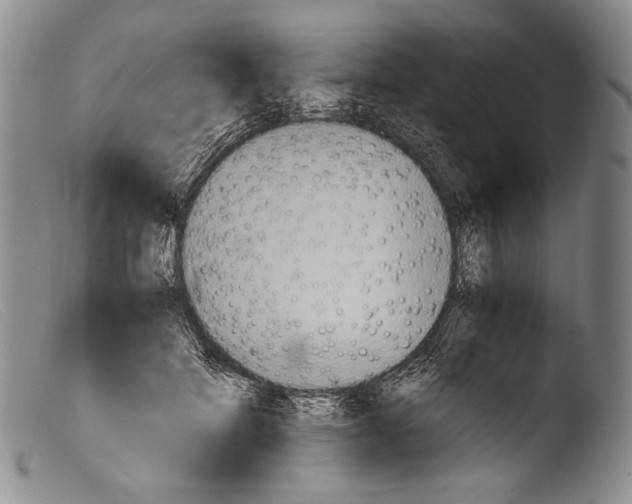 X0000103960698200810311614