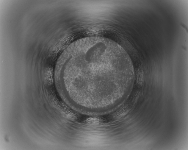 X0000103960699200810311614