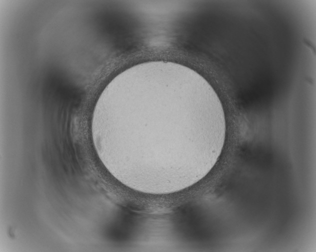 X0000103960700200810311614
