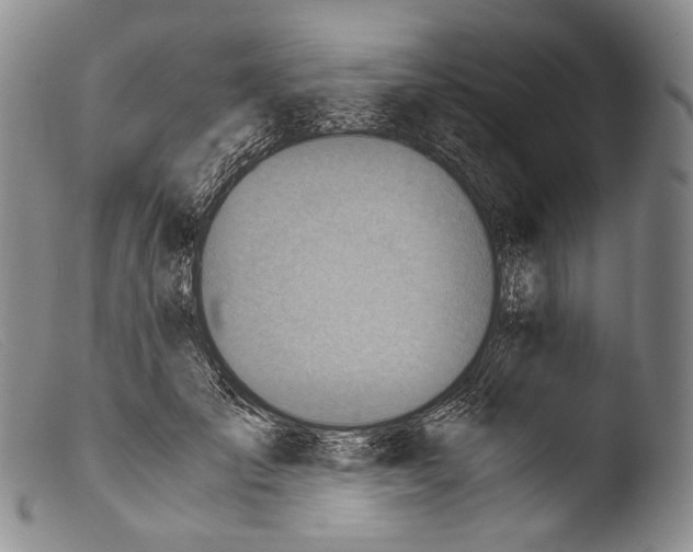 X0000103960701200810311614
