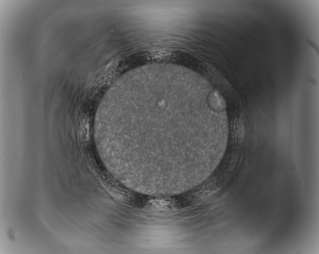 X0000103960703200810311614