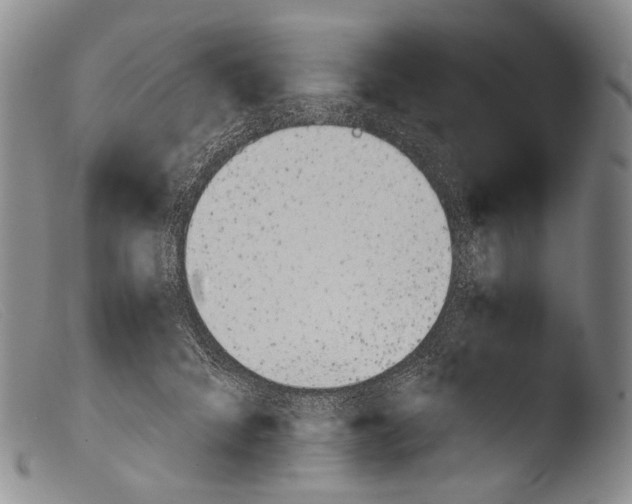 X0000103960704200810311614