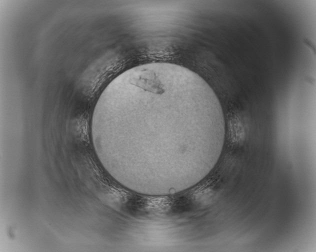X0000103960705200810311614