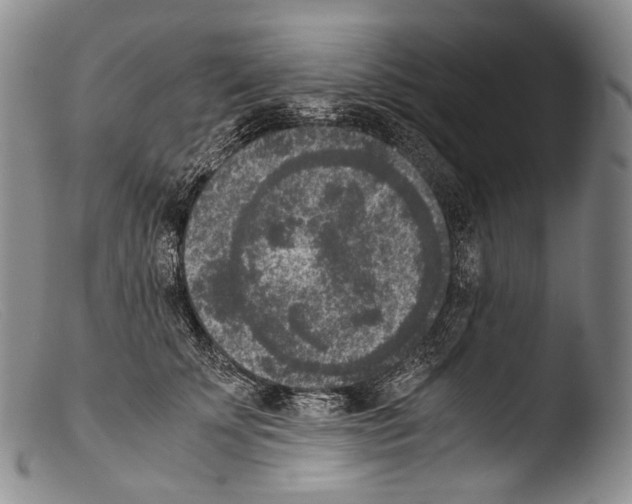 X0000103960707200810311614