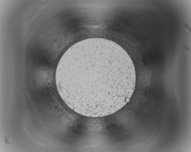 X0000103960708200810311614