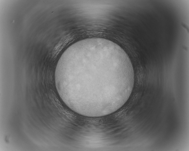 X0000103960709200810311614