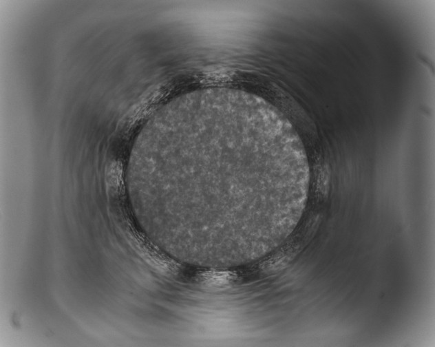 X0000103960711200810311614