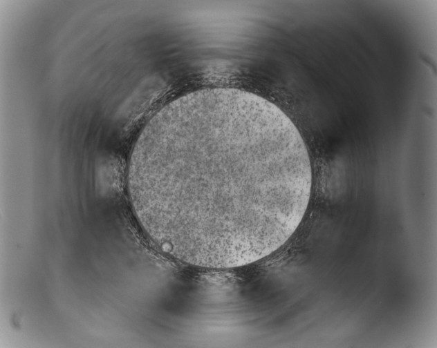 X0000103960712200810311614