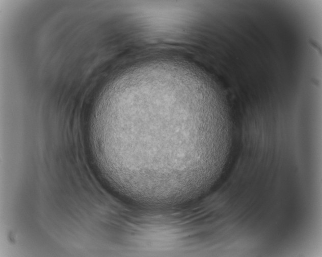 X0000103960713200810311614