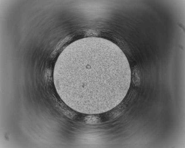 X0000103960714200810311614