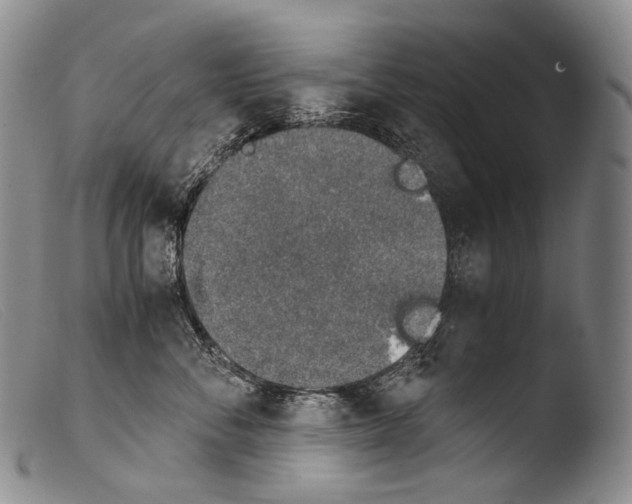 X0000103960716200810311614
