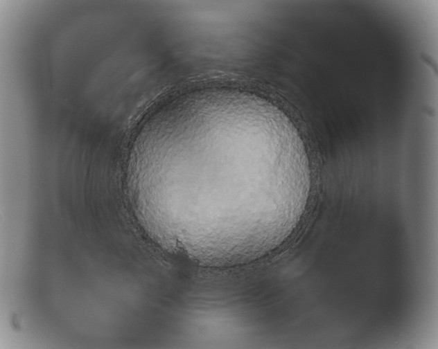 X0000103960717200810311614