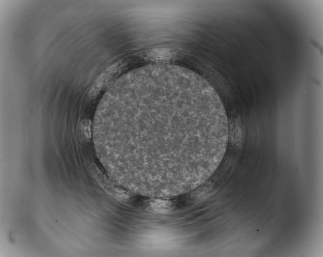 X0000103960718200810311614