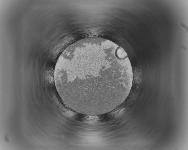 X0000103960719200810311614