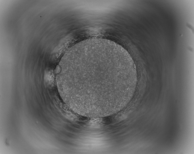 X0000103960720200810311614